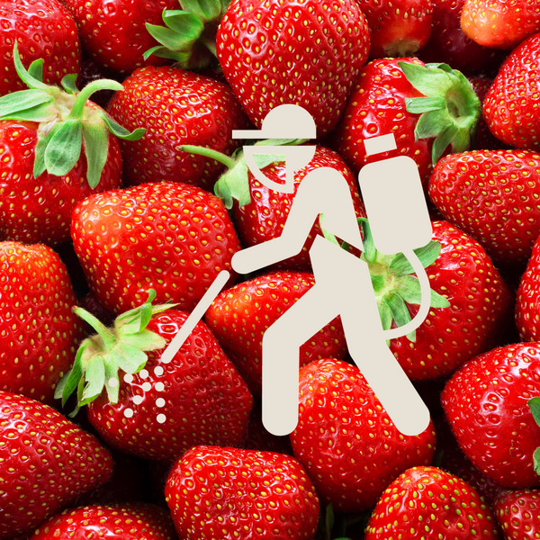 9 Pesticides found on conventional Strawberries