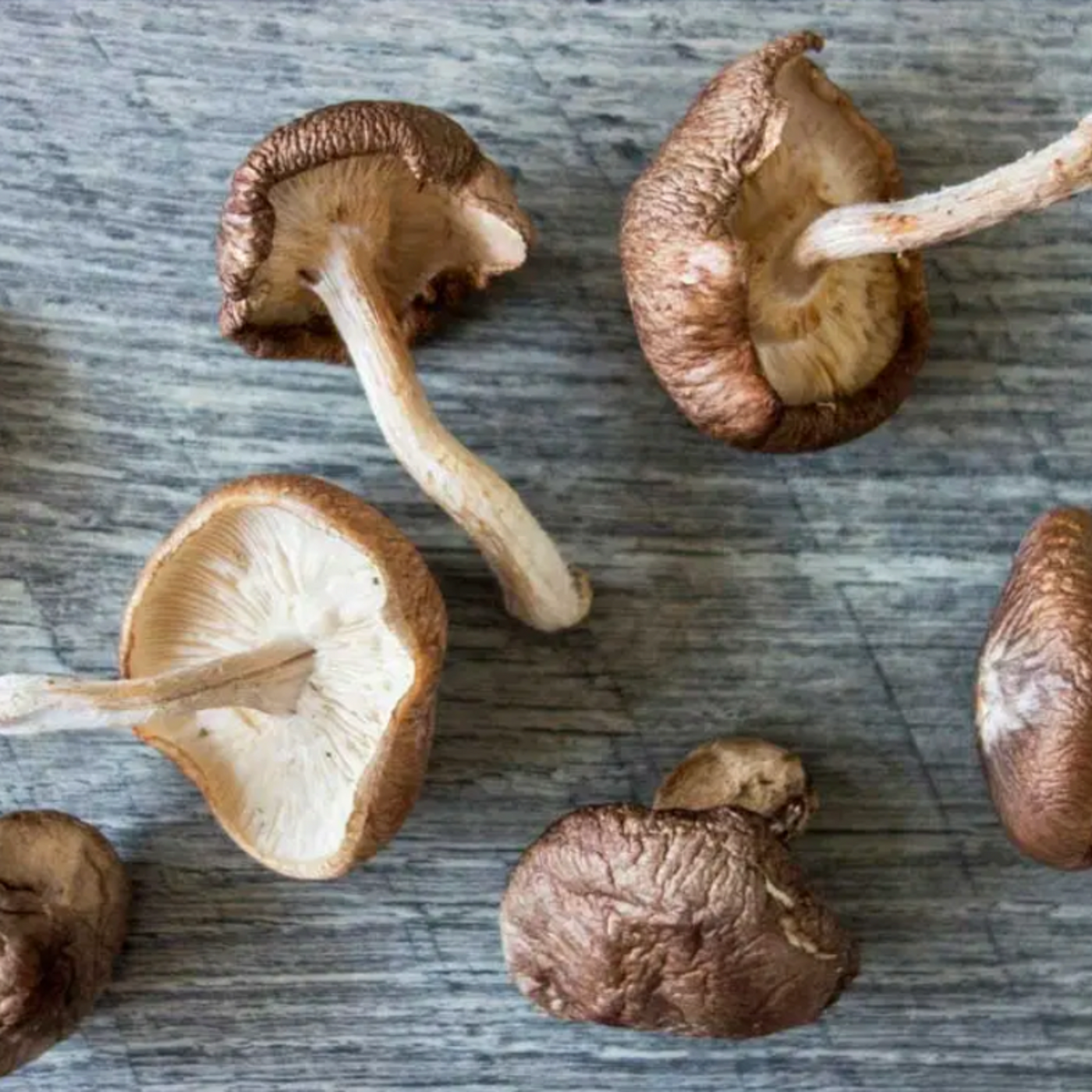 Seasonal Organic Mushrooms Shiitake 100G