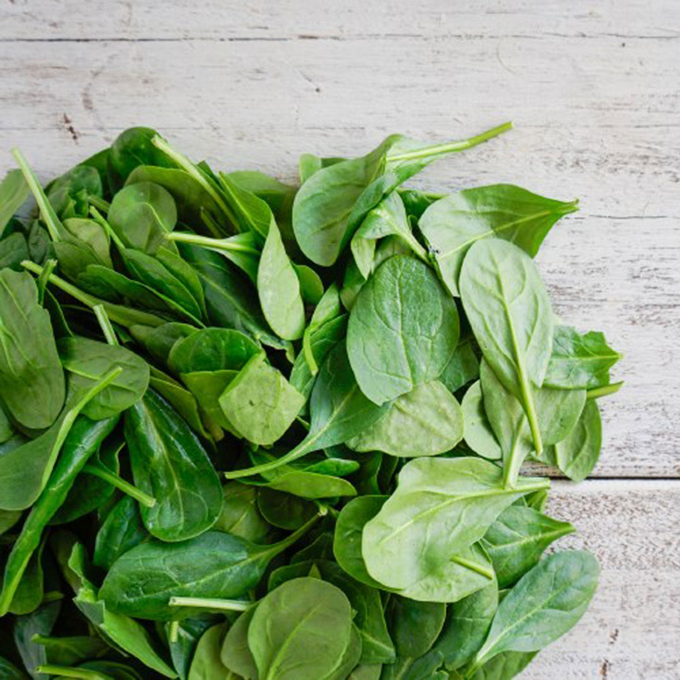 Seasonal Organic Baby Spinach - 100g