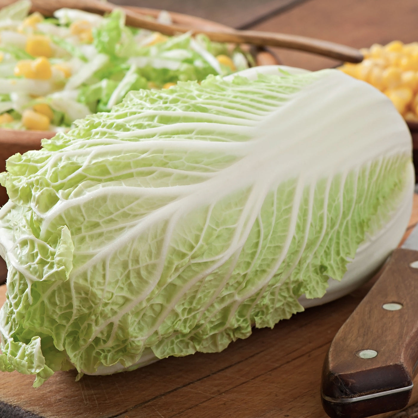 Seasonal Organic Cabbage - Wombok