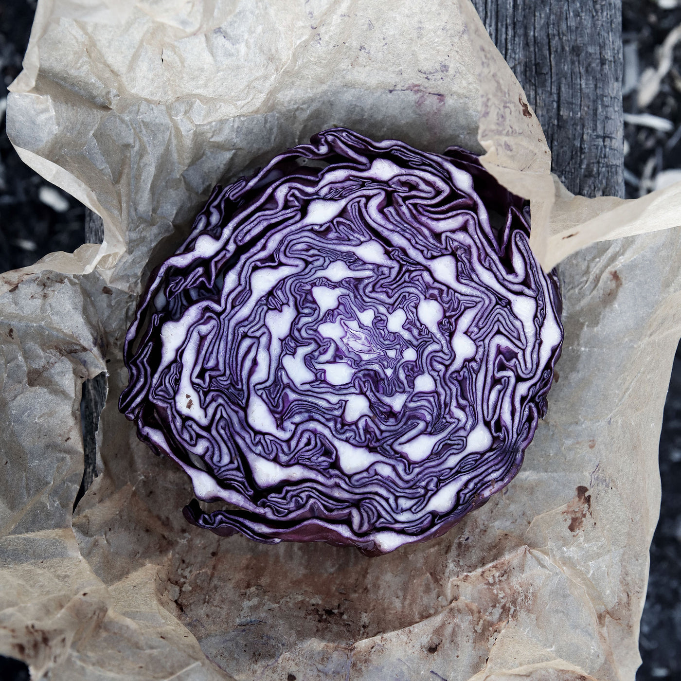 Seasonal Organic Cabbage Red - Half Cob