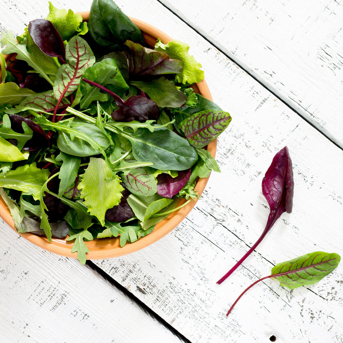 Seasonal Organic Salad Leaf Mix - 100g