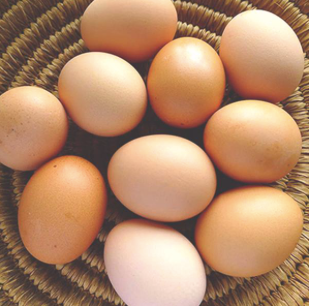 Pasture Raised Free Range Eggs (Dozen)