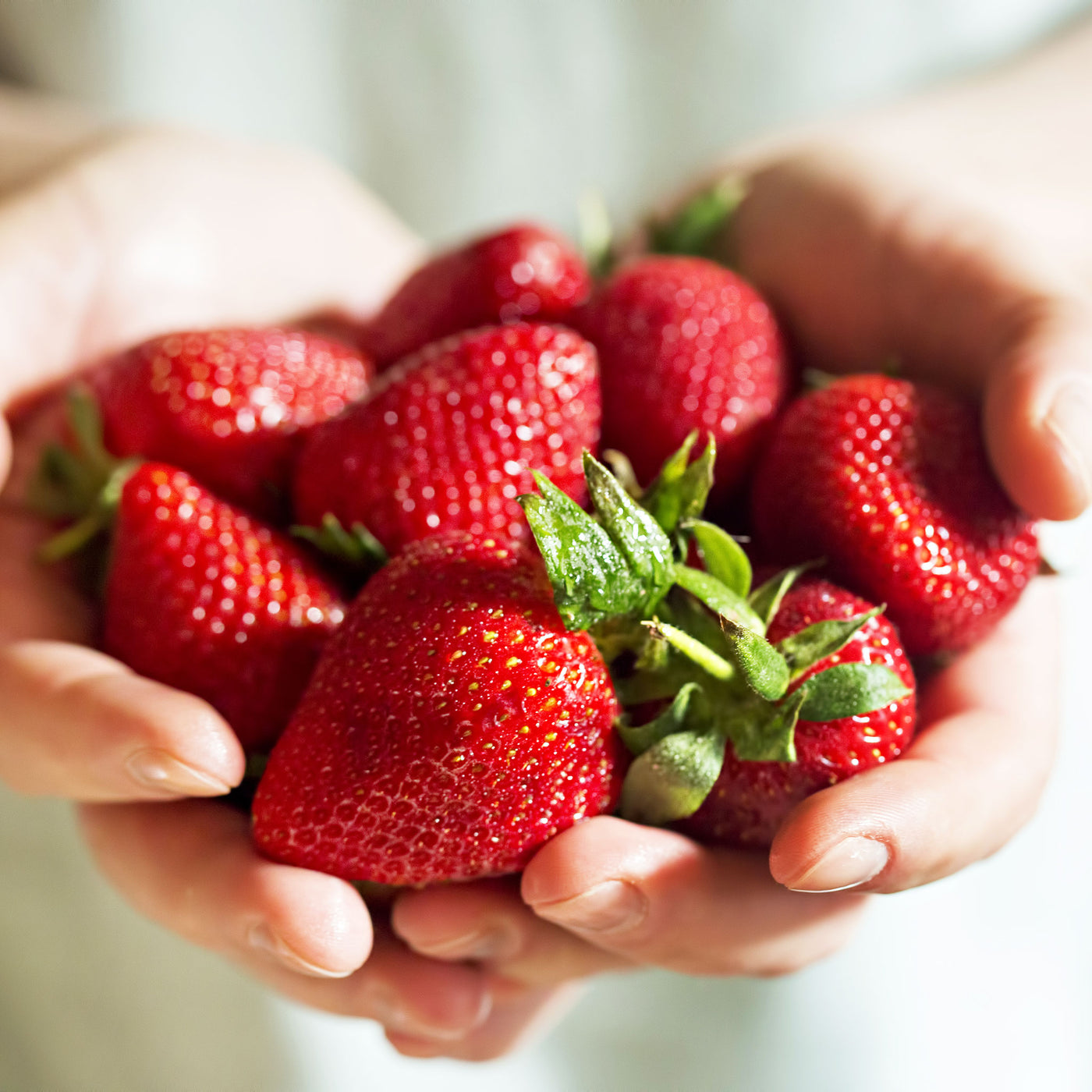 Seasonal Organic Strawberries