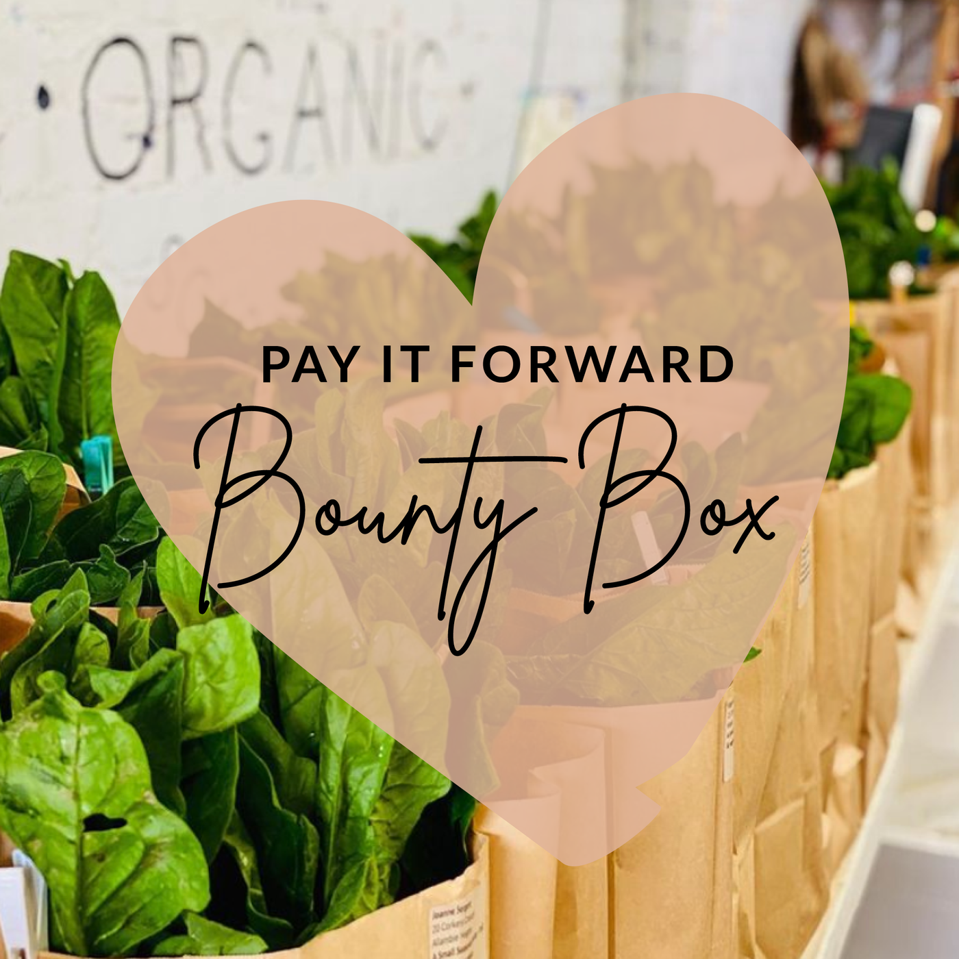'Pay it Forward' Produce & Staples Donation Bounty Box