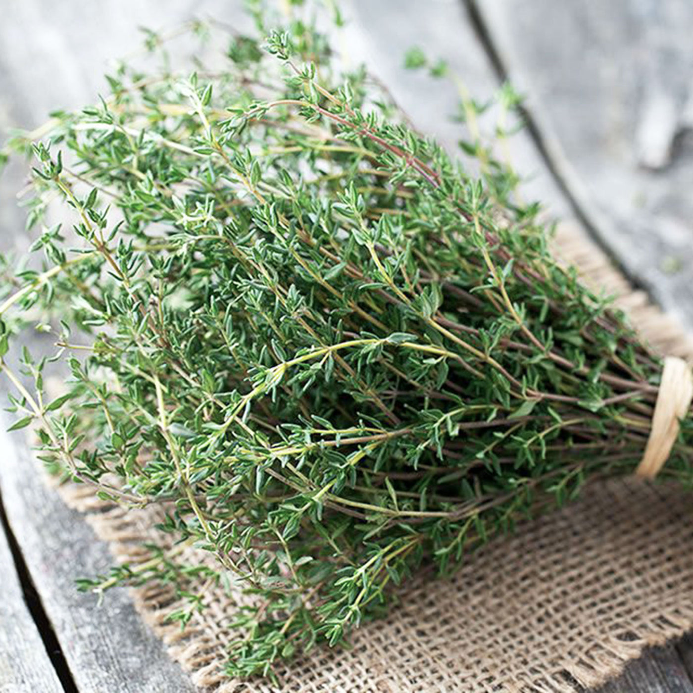 Seasonal Organic Herbs Thyme Bunch